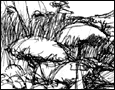 NOtes