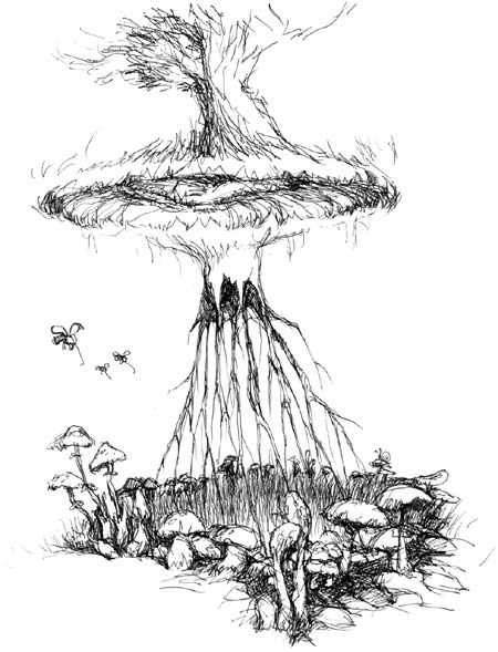 Mushrooms growing in circular formation